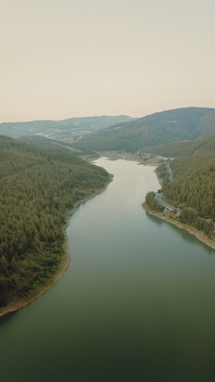 152c4f91-56d0-4095-aa9b-ab9ba7fb286b