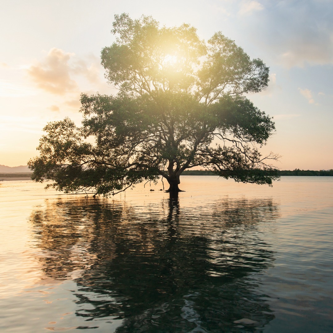 c13482cb-87f4-4e6d-b484-5441d59fa05d