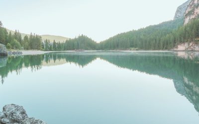 cf94d081-bd18-4671-b5ee-998f345bca28