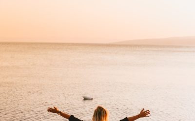 d1cedc79-a8d9-4fbc-8f1e-9b554baadeff